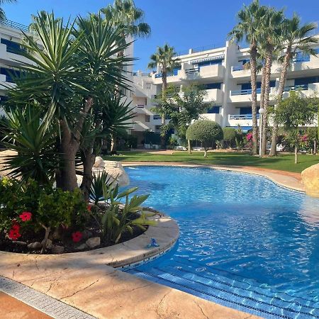 Coral House - La Calma - Playa Flamenca - Big Terrace & 4 Swimming Pools. Apartment Exterior foto