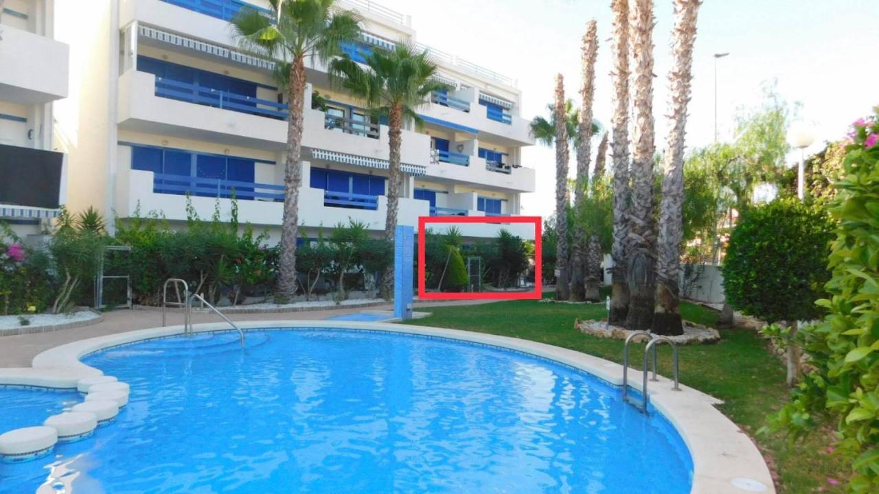 Coral House - La Calma - Playa Flamenca - Big Terrace & 4 Swimming Pools. Apartment Exterior foto
