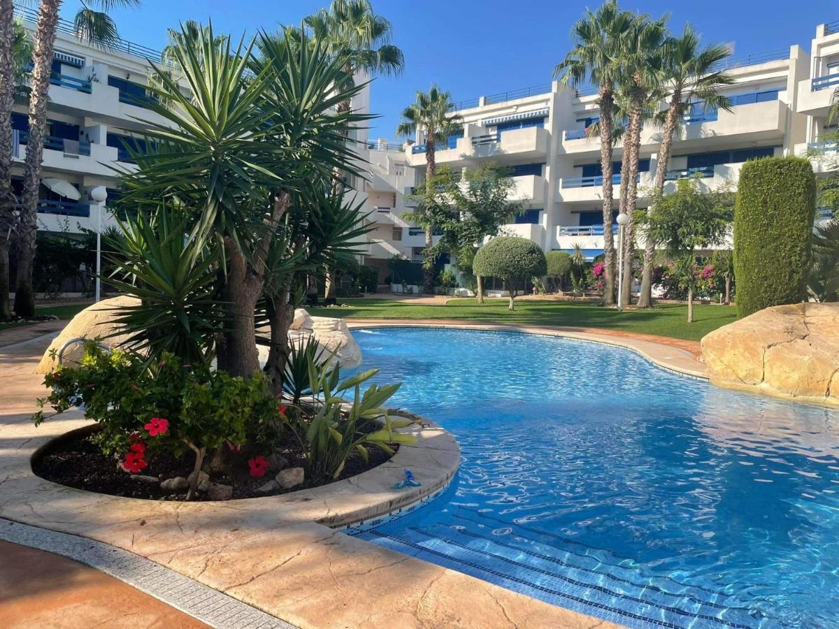 Coral House - La Calma - Playa Flamenca - Big Terrace & 4 Swimming Pools. Apartment Exterior foto