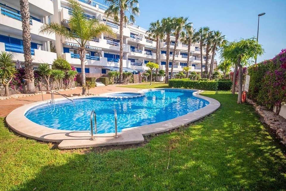 Coral House - La Calma - Playa Flamenca - Big Terrace & 4 Swimming Pools. Apartment Exterior foto